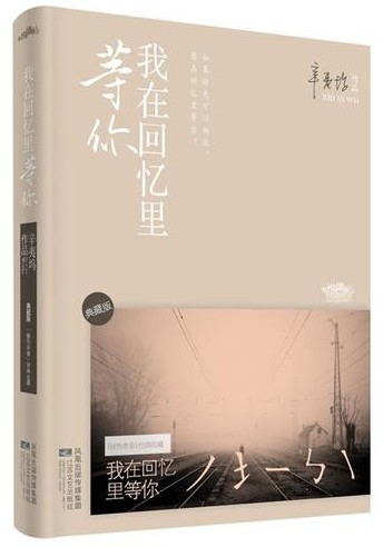 我在回忆里等你